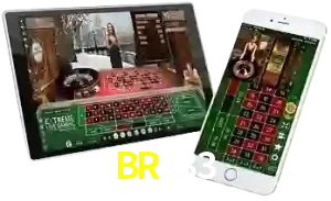 BR333